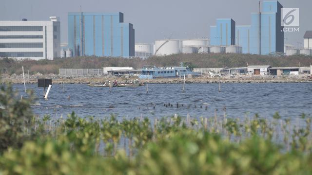 Hutan Bakau di Pesisir Marunda Memprihatinkan