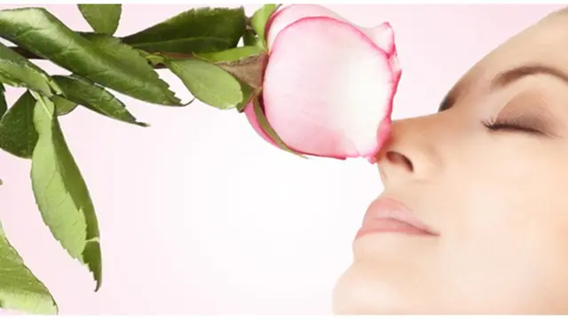 Foto : copyright listverse.com