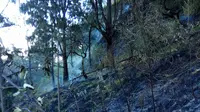 Kebakaran lahan hutan di kawasan Gunung Arjuno sudah menghanguskan lebih dari 70 hektar lahan (BPBD Kota Batu)