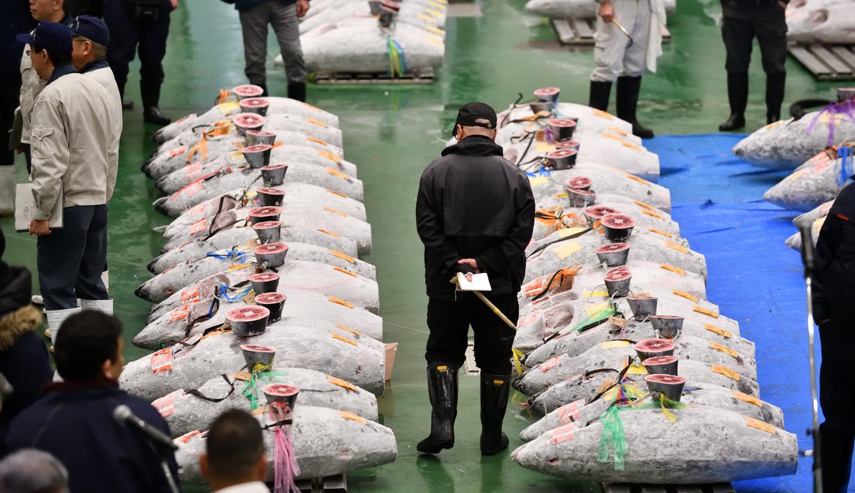 FOTO Riuhnya Tradisi Lelang Tuna di Pasar Ikan Toyosu