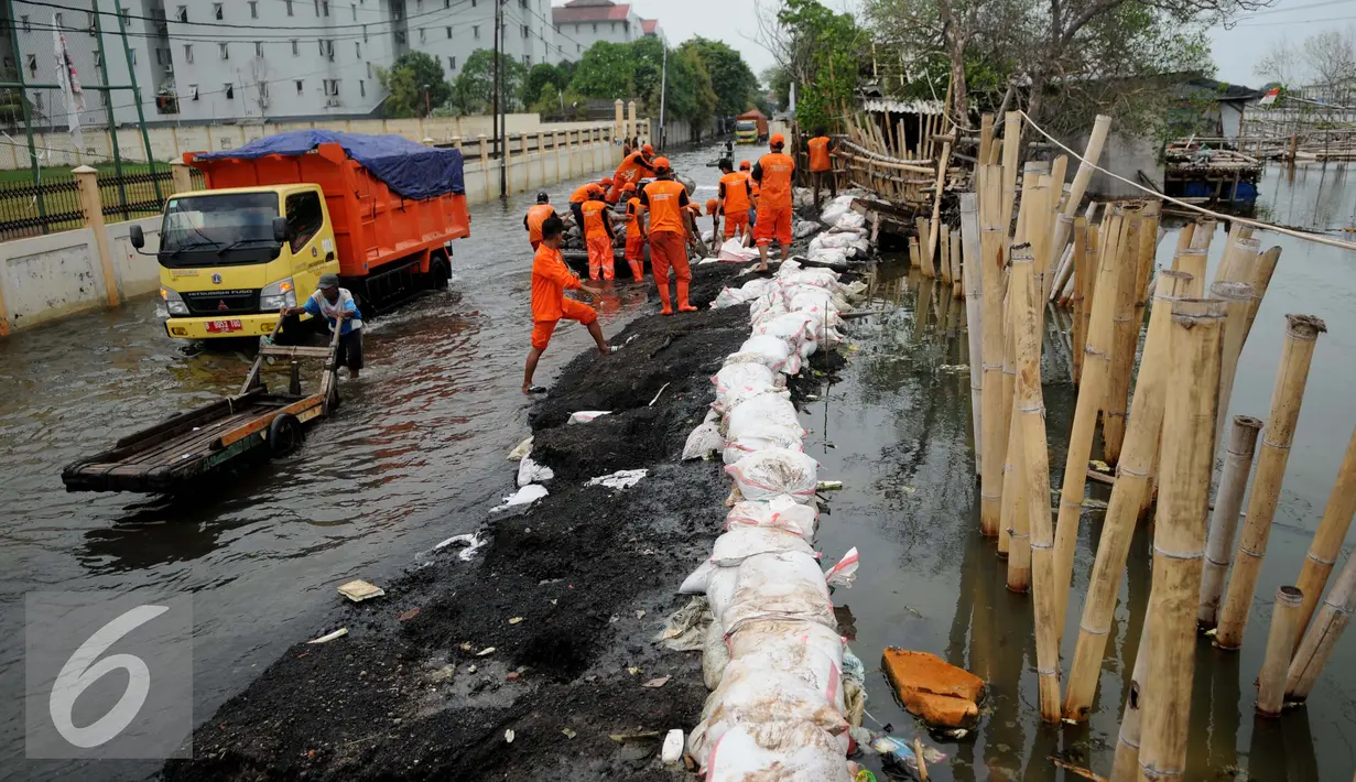Petugas memasang tanggul untuk mencegah jebolnya air di Kawasan Muara Angke, Jakarta, Rabu (11/1). Sejak jebolnya tanggul sampai saat ini tidak ada perbaikan yang dilakukan pemerintah pusat dan daerah. (Liputan6.com/Gempur M. Surya)