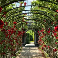 Ilustrasi Taman/https://unsplash.com/Victor Malyushev