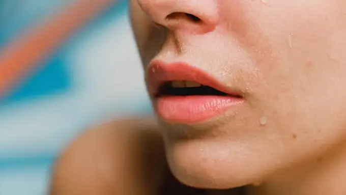 bibir sehat