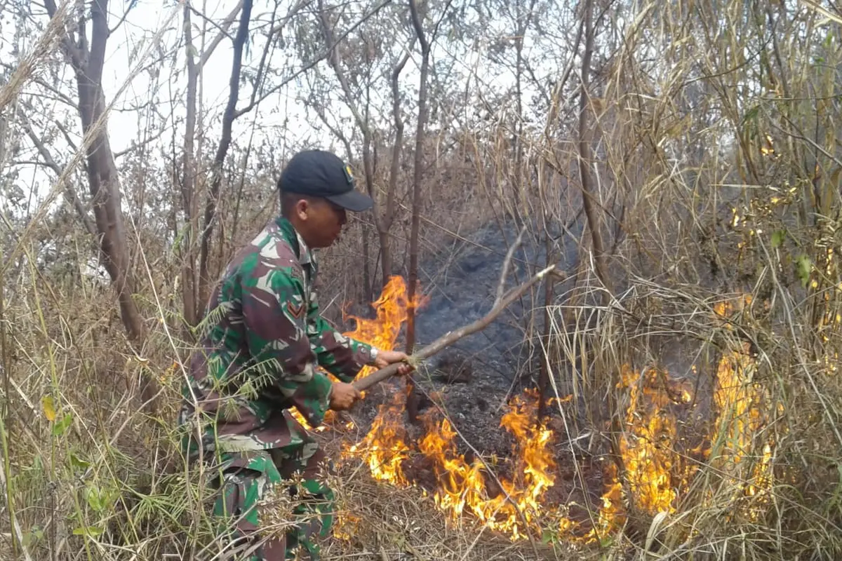 Seorang anggota TNI tengah memadamkan kebakaran di kawasan kaki Gunung Guntur beberapa waktu lalu