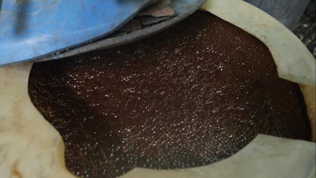 Fermentasi Limbah Tetes Tebu