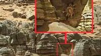 Misteri Penampakan Mirip Kepiting di Planet Mars
