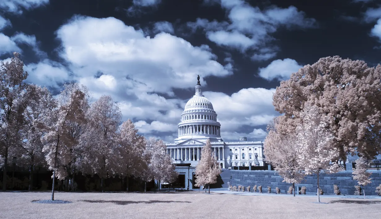 Pemandangan gedung Capitol yang dikelilingi pohon rimbun di Washington DC (26/9). Foto ini dihasilkan dengan menggunakan kamera atau teknik Inframerah. (AFP Photo/Andrew Caballero-Renolds)