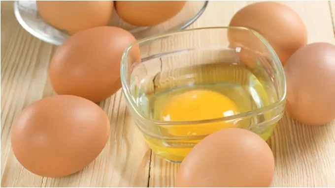 copyright by Shutterstock.com