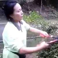 Lagi asyik potong rumput, ibu ini menemukan sarang bayi burung lalu memakannya. Hiiii~ (Via: youtube.com)