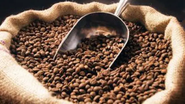 Kopi Arabica Indonesia Jadi Primadona di Eropa