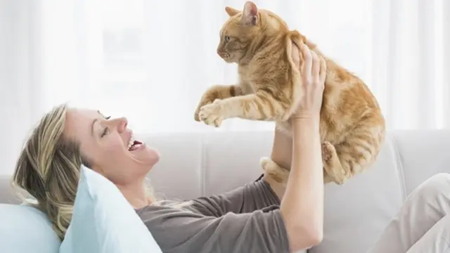 [Bintang] Hewan Peliharaan Sesuai Zodiak, Kamu Cocoknya Pelihara Apa?