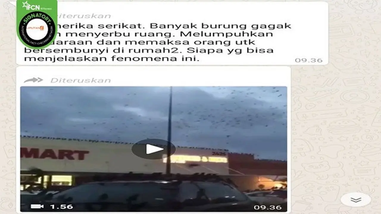 Gambar Tangkapan Layar Pesan Berantai di Aplikasi Percakapan WhatsApp