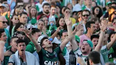 Para fans berkumpul di jalan kota Chapeco, atas tragedi jatuhnya pesawat yang ditumpangi klub sepakbola Chapecoense, Selasa (29/11). Hijau yang menjadi warna seragam klub Chapecoense mendominasi hampir seluruh negara Brasil. (REUTERS/Paulo Whitaker)