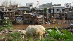 Deretan permukiman penduduk semi permanen di bantaran Sungai Ciliwung, Jakarta, Senin (5/10/2020). Pemprov DKI mencatat kenaikan angka kemiskinan Jakarta sebesar 1,11 persen menjadi 4,53 persen pada bulan September 2020 karena terdampak pandemi COVID-19. (Liputan6.com/Immanuel Antonius)