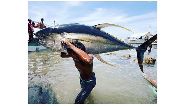 6 Rezeki Tak Terduga Dapat Ikan Seukuran Tubuh Manusia Ini Bikin