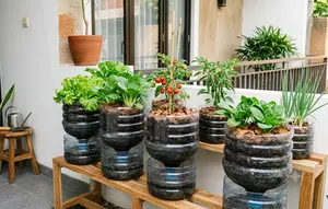 6 Inspirasi Kebun Sayur Mini dari Galon Bekas untuk Teras Rumah, Hemat Tempat dan Mudah Dibuat