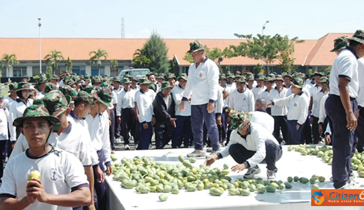 Citizen6, Surabaya: Usai lari siang, ribuan prajurit Kobangdikal pesta buah mangga. (Pengirim: Penkobangdikal). 