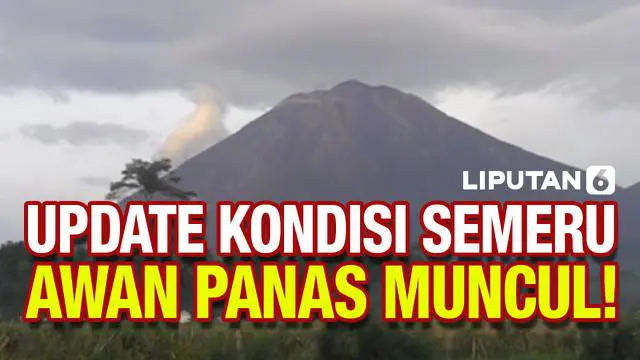 Gunung Semeru terlihat kembali menyemburkan awan panas guguran pagi ini (20/12). Kondisi Semeru memang terpantau masih fluktuatif, sehingga masih terjadi letusan dan guguran awan panas.