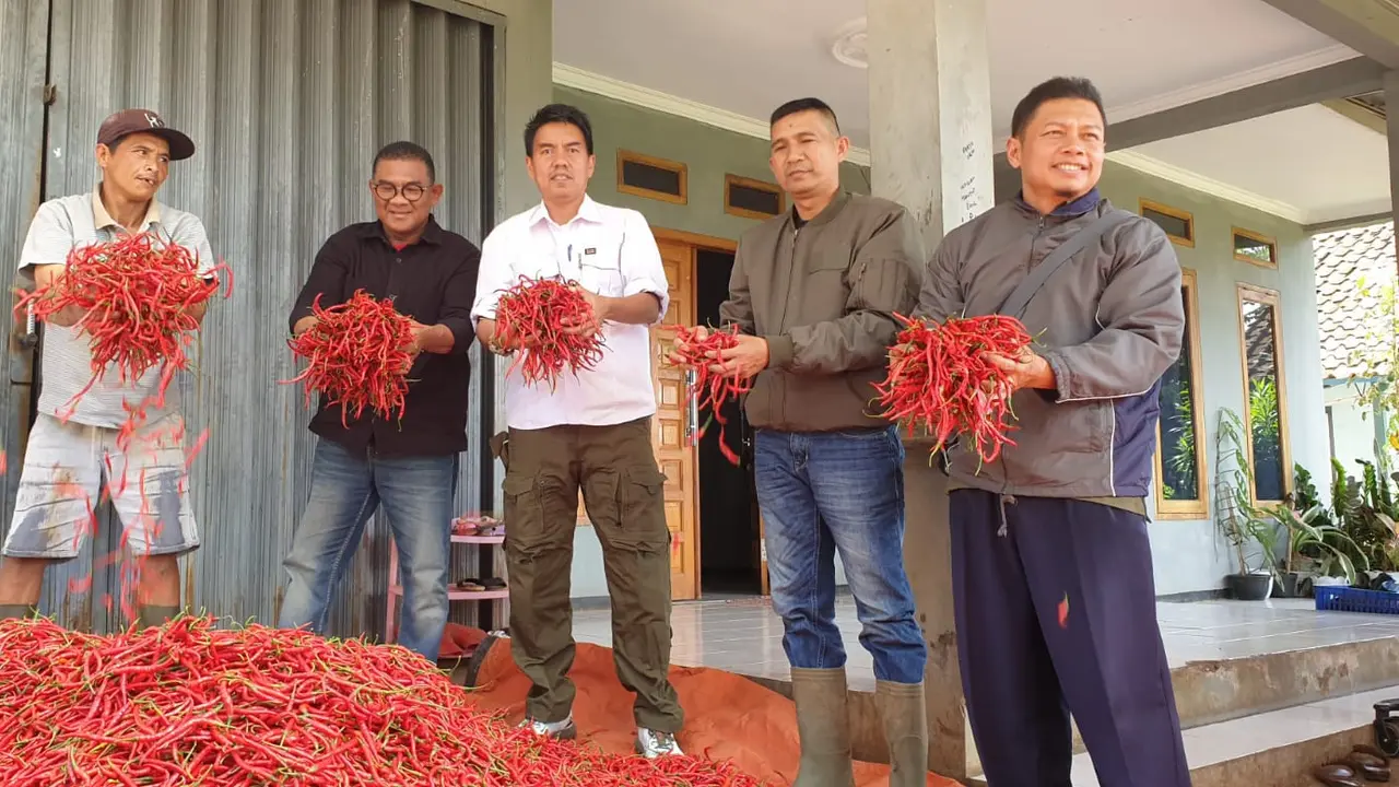 Direktur Sayuran Tanaman Obat, Kementerian Pertanian Andi Muhammad Idil Fitri, saat meninjau kawasan lahan pertanian cabai di Kecamatan Banyuresmi dan Limbangan, Garut, Ahad (26/3/2023). (Liputan6.com/Jayadi Supriadin)