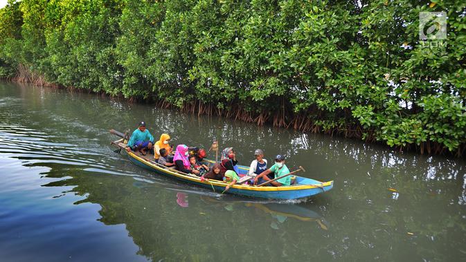 Perahu wisatawan melewati hutan mangrove di Sungai Rindu, Desa Hurip Jaya, Babelan, Bekasi, Jumat (7/6/2019). Berkeliling naik perahu melewati kawasan hutan mangrove di Sungai Rindu ini menjadi daya tarik para wisatawan lokal. (merdeka.com/Arie Basuki)