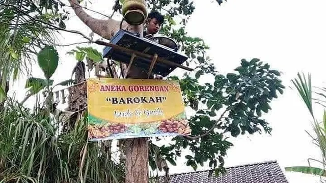 Kelakuan Orang Saat di Atas Pohon ini Bikin Tepuk Jidat