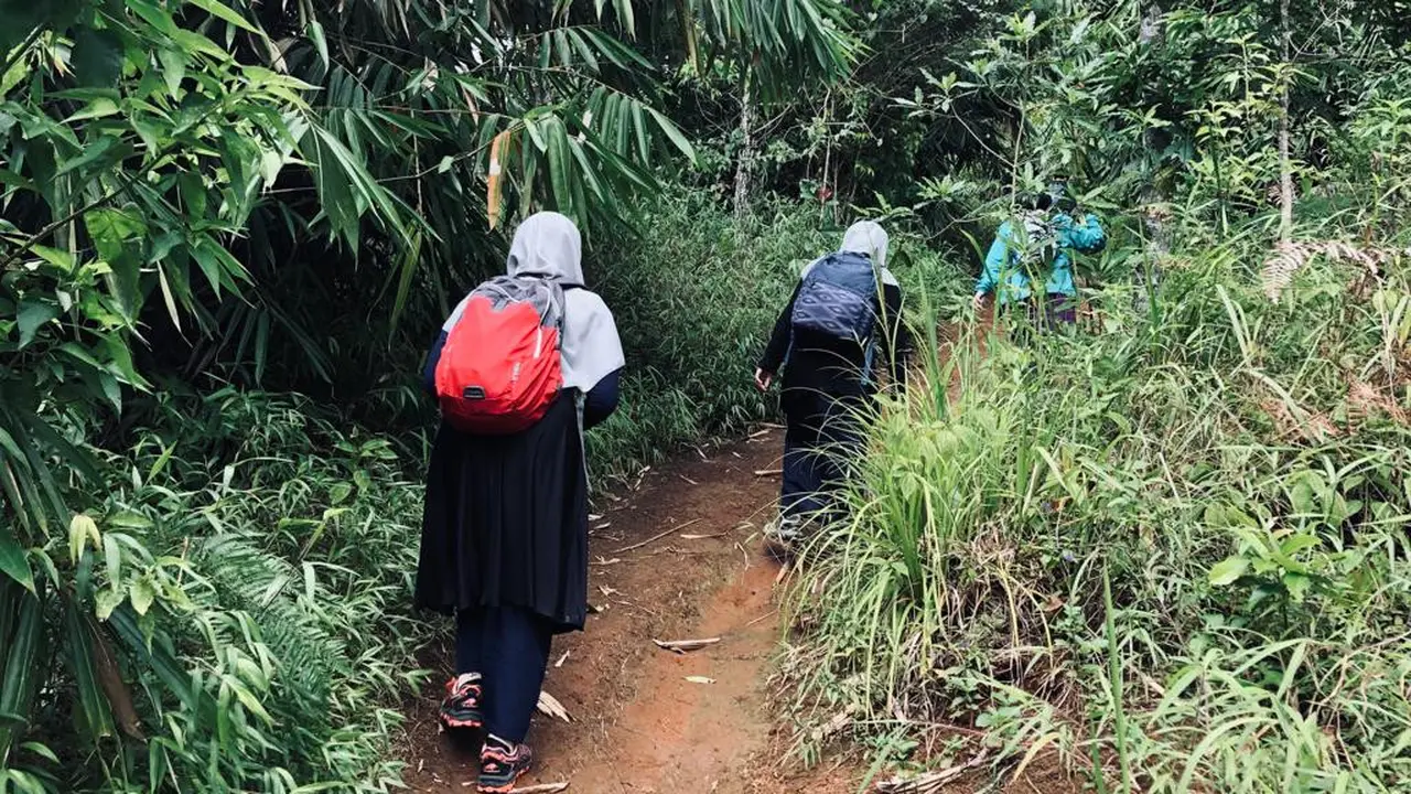 Ilustrasi mendaki. (Foto: Liputan6.com/Ade Nasihudin).