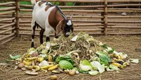 Cara Fermentasi Pakan Kambing dari Sisa Sayur agar Lebih Awet