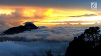 Pemandangan Gunung Merapi dilihat dari atas Gunung Merbabu di Selo, Boyolali, Jawa Tengah, Sabtu (2/2/2019). Aktivitas Gunung Merapi dalam beberapa hari terakhir masih tinggi dan masih berada di level 2 atau waspada. (Merdeka/Arie Basuki)