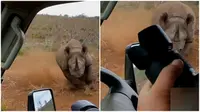 Pengunjung taman nasional terlambat menyadari serangan sang badak dan masih sempat menjepretkan kamera beberapa kali. (Sumber Kruger Sightings)