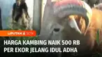 Harga kambing kurban di Kabupaten Tangerang, Banten, naik. Kenaikan kambing kurban mencapai Rp 500 ribu per ekor.