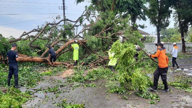 Pusdalops BPBD DI Yogyakarta melaporkan kejadian hujan disertai angin kencang pada Minggu, 8 Desember 2019 pukul 20.30 Wib. (Dok Badan Nasional Penanggulangan Bencana/BNPB)