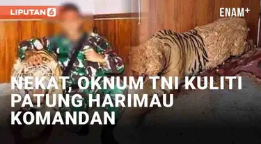 Umumnya anggota TNI patuh dan hormat pada sang komandan. Namun yang dilakukan seorang oknum TNI baru-baru ini tergolong nekat. Pasalnya ia nekat menguliti patung harimau milik sang komandan.