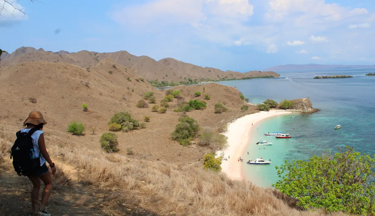 Pink Beach dapat ditempuh menggunakan perahu boat yang banyak disewakan di dermaga Labuan Bajo. Harga sewa perahu bervariatif, akan lebih murah jika berkunjung dalam rombongan. (Liputan6.com/ Ahmad ibo).