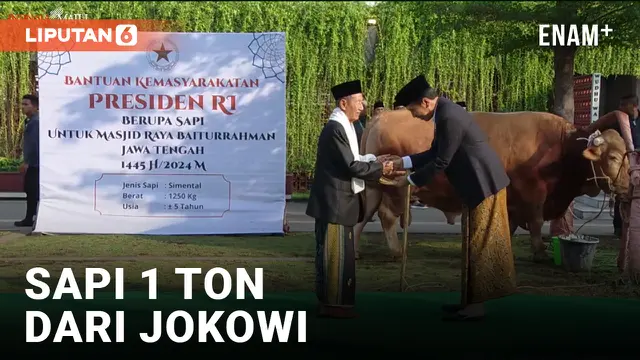 Jokowi Berikan Sapi 1 Ton di Semarang