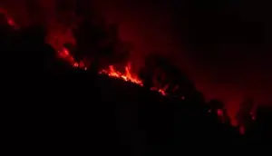 Kebakaran Hutan di Lereng Gunung Meluas, TWA Kawah Ijen Ditutup untuk Wisatawan