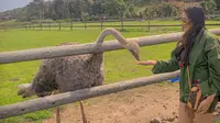Tangan Ashanty dipatok burung unta atau ostrich saat liburan ke Afrika Selatan (Dok.Instagram/@ashanty_ash/https://www.instagram.com/p/B2mcBSlJYFE/Komarudin)