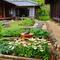 Ide Kebun Produktif ala Rumah Jepang di Desa (AI)