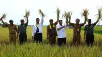 Genjot Lahan Rawa, Kementan Tetap Cetak Sawah Baru