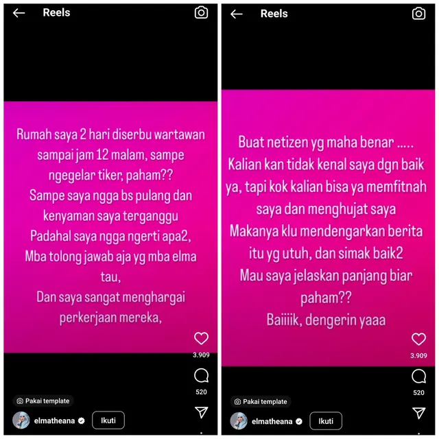Unggahan Instagram Story Elma Theana. (Instagram.com/elmatheana)