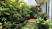 9 Model Kebun Rumah yang Mengundang Burung Berkicau, Asri dan Menenangkan