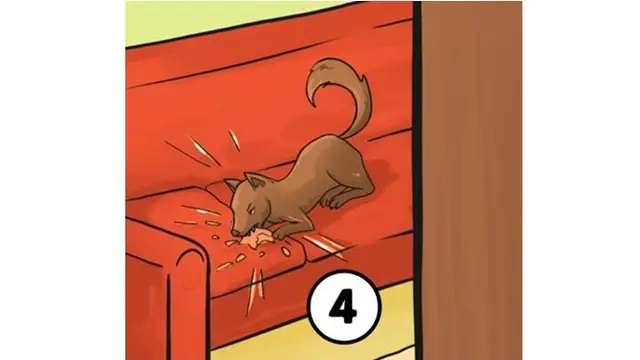 Teko, Bayi, Telepon, atau Anjing? Pilih Tindakan Pertamamu dan Temukan Artinya