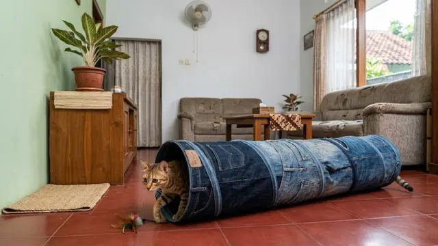 Ide Tempat Bermain Kucing dari Barang Bekas