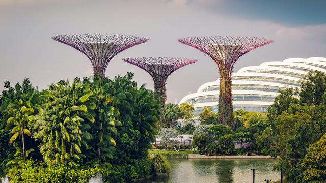 Gardens By The Bay