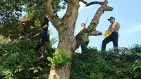 Kapolres Gowa, AKBP Shinto saat lakukan olah TKP Kasus Remaja Gantung Diri di Pohon Nangka (Liputan6.com/ Eka Hakim)