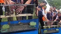 850 Peserta Lomba Kicau Burung di Makassar