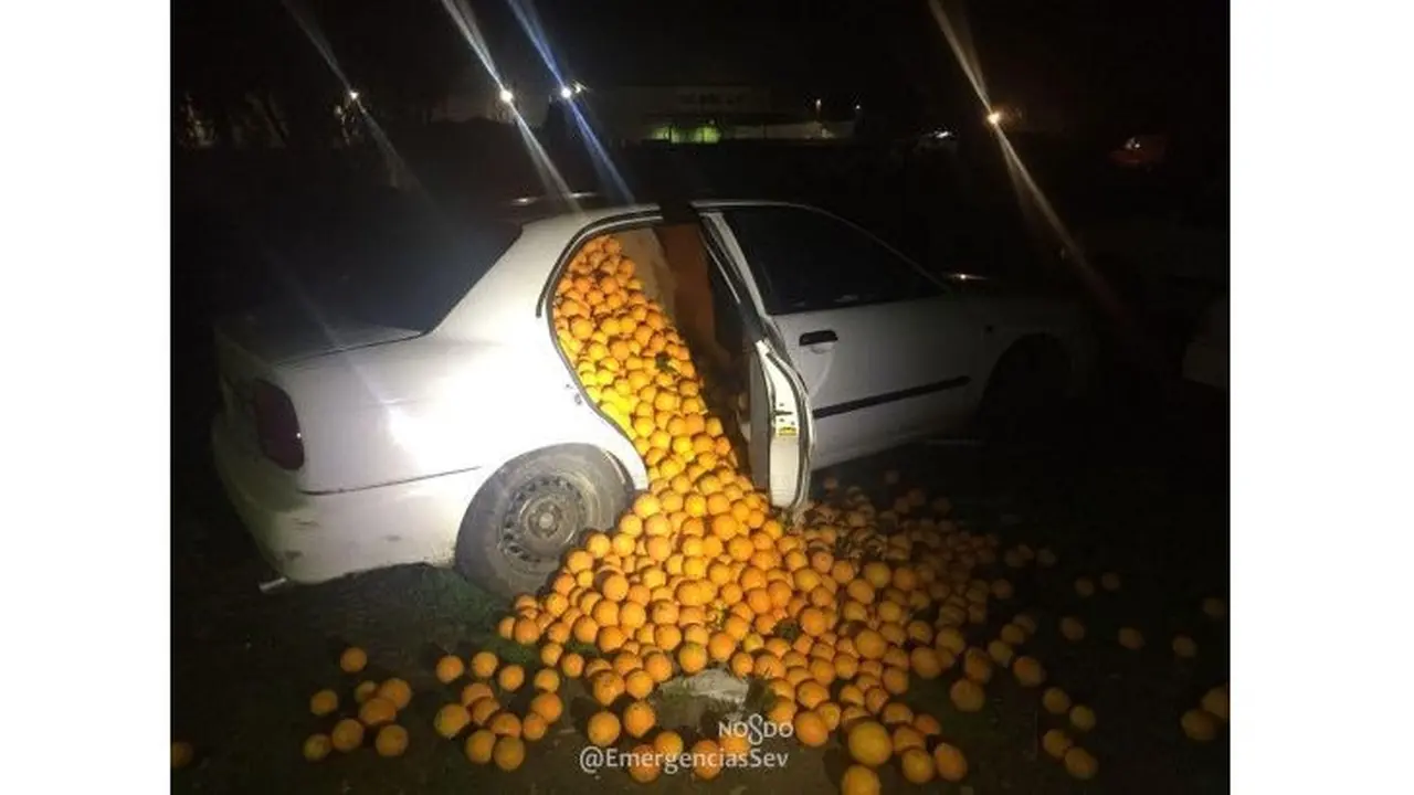 4 ton jeruk masuk ke sebuah sedan