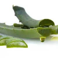 5 Manfaat Lidah Buaya untuk Kesehatan. (Foto: cushfood.com)