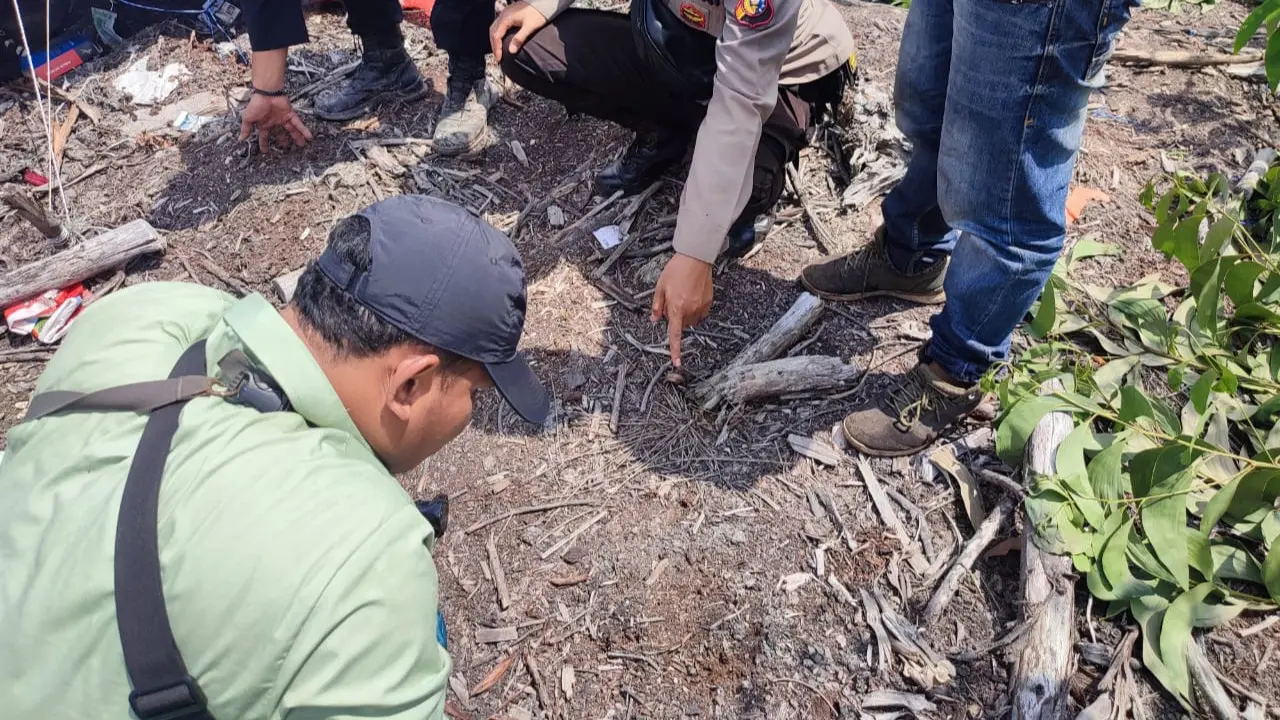 Petugas menemukan jejak harimau sumatra di sekitar tenda tempat pekerja diterkam.