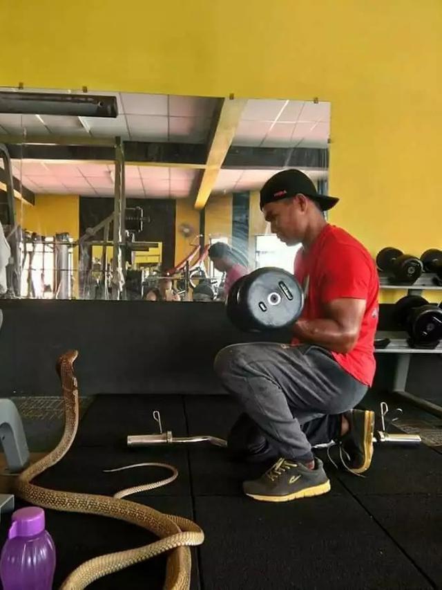 6 Potret Ular Bertingkah Bak Manusia Ini Nyeleneh, Ada yang Nonton TV