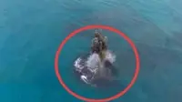 Misteri Daratan Baru di Dekat Anak Krakatau